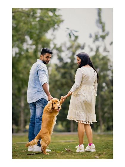 An expecting couple and their dog from behind, showing the playful connection as the dog stands on its hind legs to hold hands with the mother-to-be.