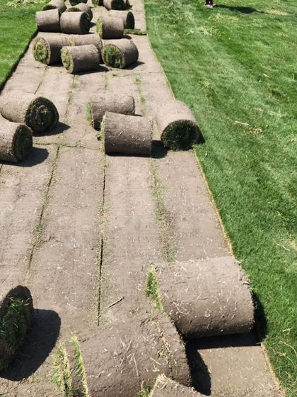 Delhi Gardner - Full-Service Landscaping Premium Lawn & Turf Solutions photo 45