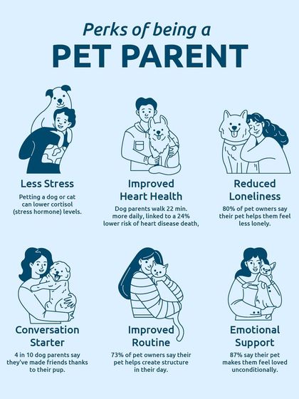 The perks of being a pet parent are endless. From less stress and improved heart health to reduced loneliness and more emotional support, they make our lives better in every way.