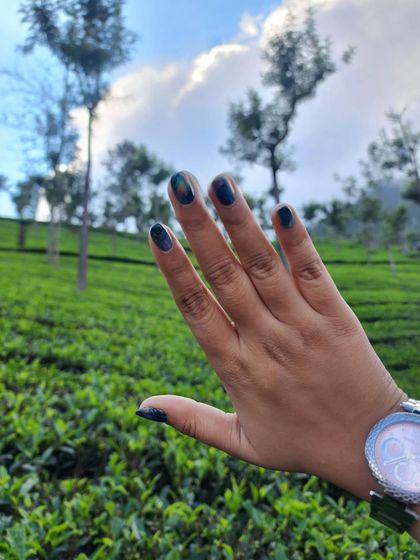 Shine, Shimmer, and Sparkle photo 40