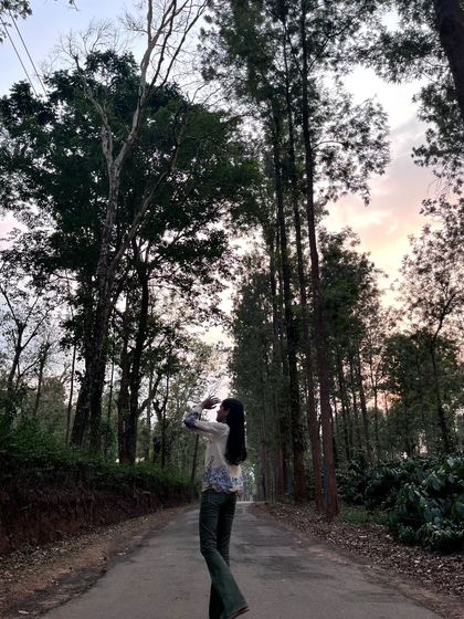 A dramatic shot looking up at the towering trees against a sunset sky. I often try to capture this sense of wonder in my paintings.