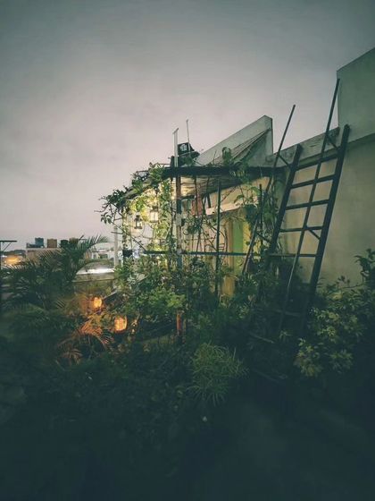 A duplicate image, but it reinforces the serene and stable atmosphere of the garden at night. The consistent beauty is part of its charm.