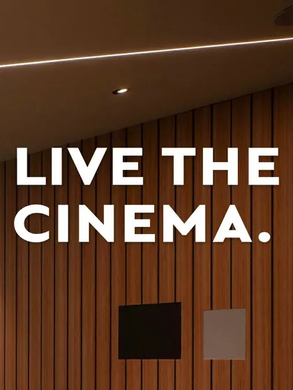 Every detail matters in a custom home theater. This series of shots highlights the clean lines of the ceiling lighting, the texture of the wood-paneled acoustic walls, and the high-quality finish of the leather recliner seats, all contributing to a premium experience.