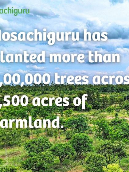 We have planted more than 200,000 trees across 1,500 acres of farmland. This is our direct contribution to fighting air pollution and creating a healthier environment.