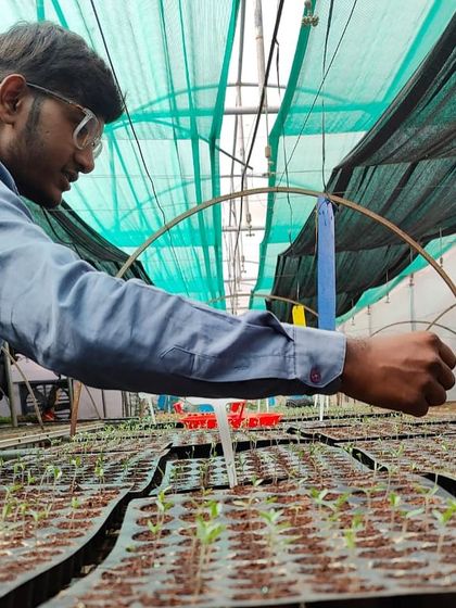 Our nursery under the shade net, providing the perfect environment for young seedlings to grow strong before being transplanted.