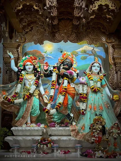 The beautifully adorned idols of Radha and Krishna at an ISKCON temple during Janmashtami. My photography captures the divine beauty and intricate decorations.