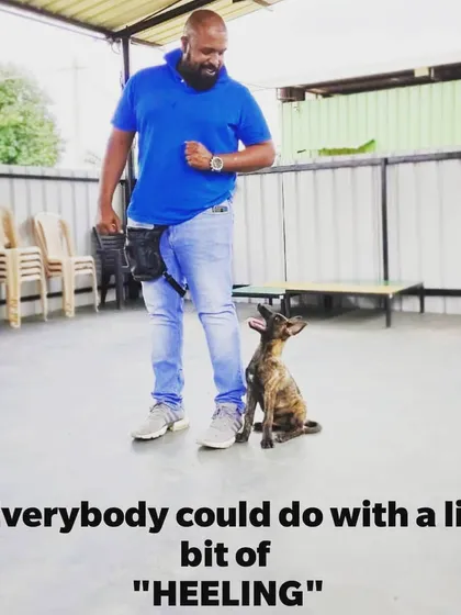 Everybody could do with a little bit of "heeling." A structured walk is one of the most important exercises for building leadership and a calm state of mind in your dog.