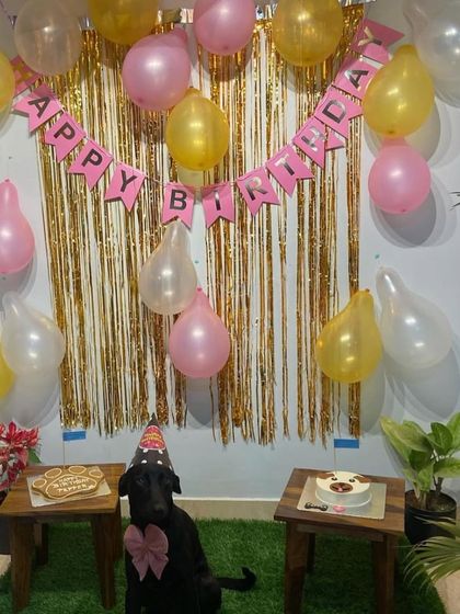 A full view of the double birthday party setup. We can provide multiple cakes and treats for larger celebrations.