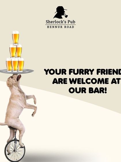 Your furry friends are welcome at our bar. This playful graphic shows that we're serious about being a pet-friendly establishment.