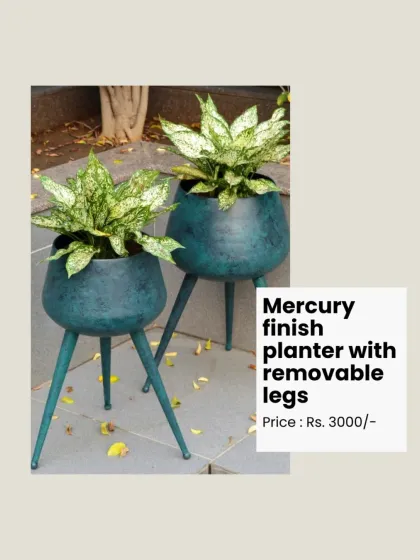 This mercury-finish planter with removable legs is a customer favorite, adding a touch of modern, industrial chic to your indoor greenery.