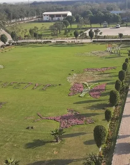 An aerial view of the massive lawn at the Jhajjar Power site, featuring large-scale floral art, including butterfly shapes and the words "SAFETY 1st", created with thousands of flowers.