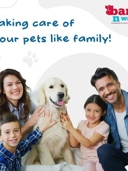 We take care of your pets like they are our own family. Our facility is a loving solution for dogs with separation anxiety, providing them with the human contact and affection they crave.