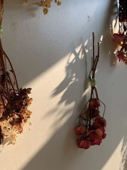 A work-in-progress shot of flowers and botanicals hanging to dry in my studio. This is an essential first step for creating my 'Eternal Bouquets' and other preserved floral art. The sunlight and shadows create their own art.