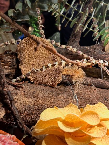 The Zorba Feast: Culinary Experiences photo 9