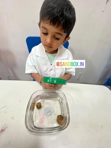 This student is captivated by the snails in his bowl. We encourage gentle, respectful observation to teach children about the life that exists all around them.
