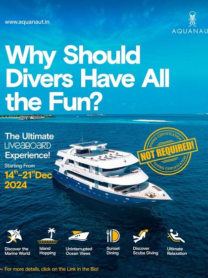 Why should divers have all the fun? Our Maldives liveaboard trips are also perfect for non-divers, with snorkeling, island hopping, and plenty of relaxation.