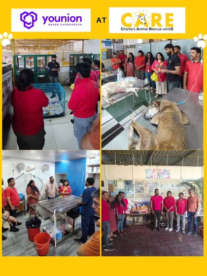 Charlie's Animal Rescue Centre - Community Outreach & Education The Power of Partnership: Corporate & Community Support photo 13