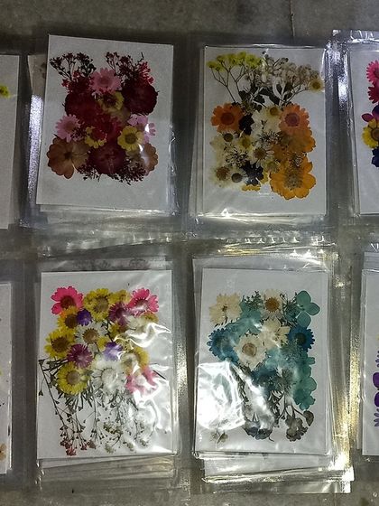 Sheets of pressed flowers, showcasing the variety of species and colors I offer. These are ideal for delicate resin work and other crafts.