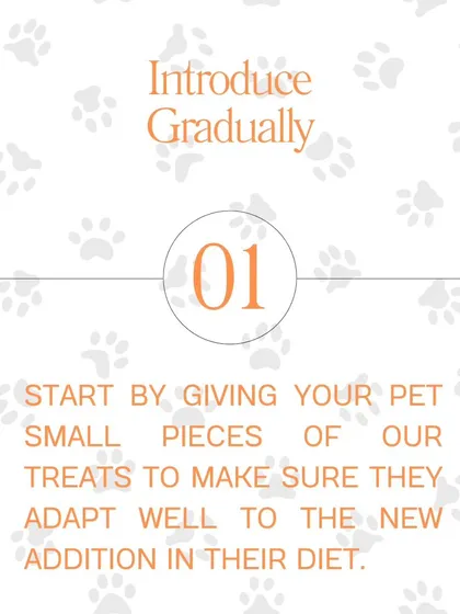 Here are five great tips for using our treats. Introduce them gradually, use them as a training tool, check portion sizes, mix them with meals, and keep them fresh in our resealable bags.