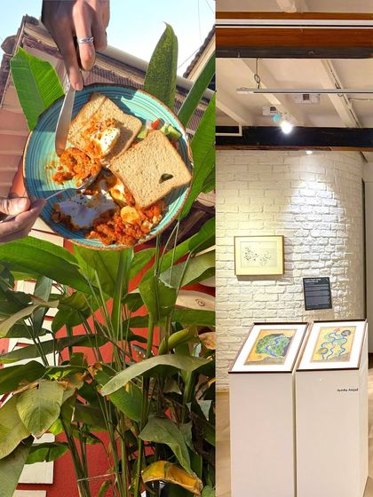 A delicious plate of what looks like akuri on toast, enjoyed amidst the lush greenery of an art gallery cafe.