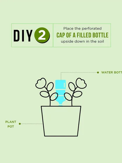 DIY watering hack 2: Place the perforated cap of a filled bottle upside down in the soil. It's an easy and effective slow-drip irrigation system.
