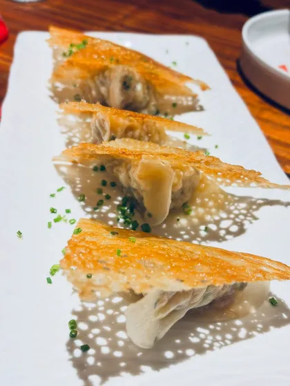 An artistic shot of crispy gyoza, highlighting the texture and presentation of the dish.