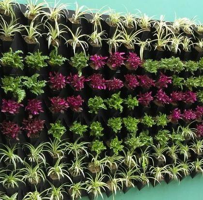 Vertical Garden Setup - Landscape Design & Execution Residential Garden Walls photo 8