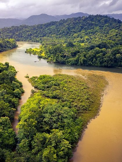 The Sharavathi River flowing through the dense monsoon forests of the Western Ghats. The muddy water indicates the strength of the seasonal rains.