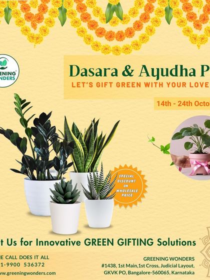 Greening Wonders - Corporate & Personal Plant Gifting Additional Work photo 14