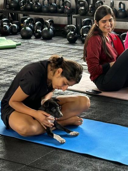 Charlie's Animal Rescue Centre - Community Outreach & Education The Power of Partnership: Corporate & Community Support photo 23