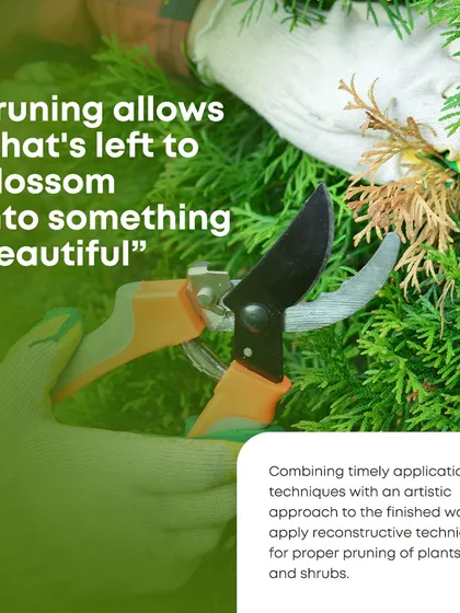 Pruning is not just about cutting back a plant; it is an essential technique for encouraging healthy, new growth and beautiful blossoms. I use artistic and reconstructive techniques to ensure trees and shrubs are pruned properly for both health and aesthetics.