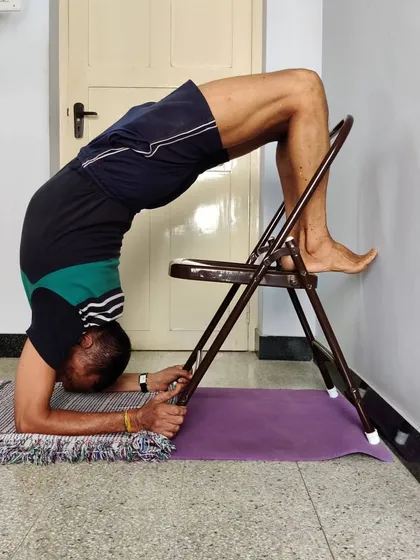 The next stage of Pincha Mayurasana preparation, walking the feet onto the chair seat. This builds the strength in the shoulders and back required for the full pose.