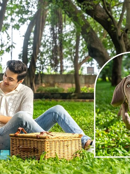 Pawparazzi By Prathima - Pet Milestone Photography Quirky Personalities & Funny Faces photo 7