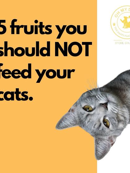 Oh My Dawg - Pet Supplies Nutrition: Food, Treats & Recipes photo 11