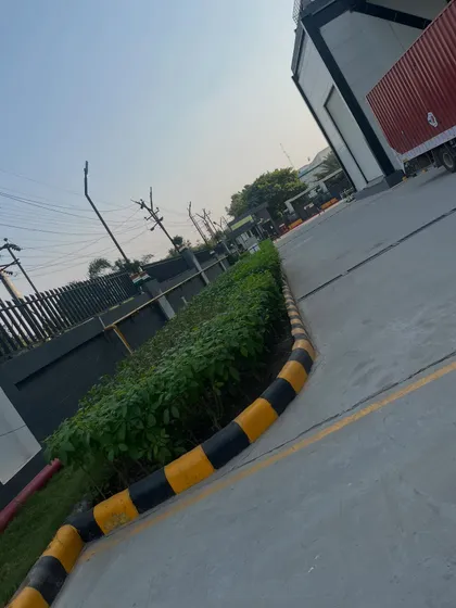 Even functional areas like this industrial site roadway are enhanced with greenery. We planted a simple, hardy hedge along the curb to soften the concrete landscape.