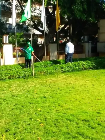 Our services extend to lawns and green patches. We provide regular mowing, fertilization, and pest management to keep your lawn looking lush and green.