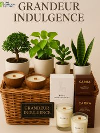 Corporate & Personal Green Gifting