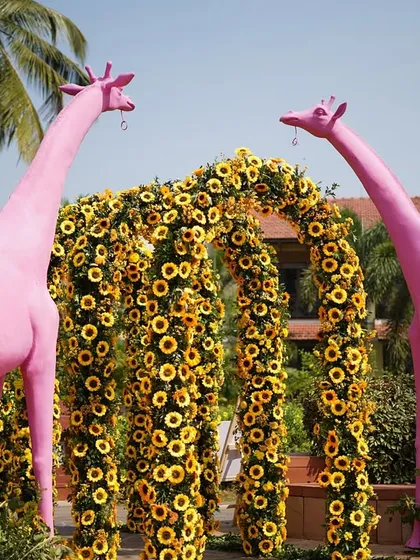 To bring a touch of playful wonder to a Haldi, I designed this entrance with a lush sunflower arch flanked by two surreal, life-sized pink giraffes. It was a whimsical statement that set a joyful tone for the celebration.