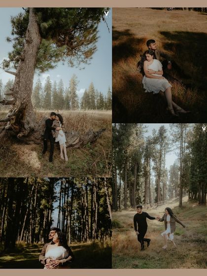 Visual Diaries: A Story in Multiple Frames photo 4