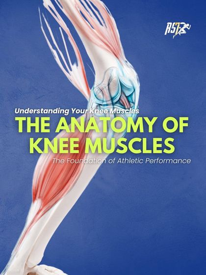 The anatomy of your knee muscles is the foundation of athletic performance. This educational graphic introduces the key muscle groups and their functions, helping you understand how to train for a stronger, more resilient knee.