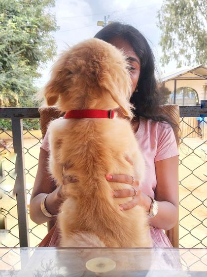 A visitor holds a small puppy, sharing a quiet and loving moment.