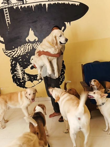 Look at those eyes waiting to see when they will be picked up. So much love.