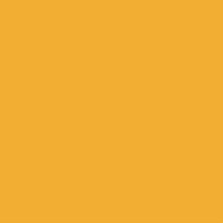 Mistry Architects