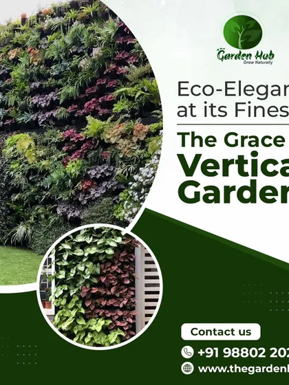 Experience the grace of vertical gardens, a perfect example of eco-elegance. These living walls are ideal for Bangalore's urban homes, adding a lush, green statement piece to any wall, indoors or out, without taking up valuable floor space.