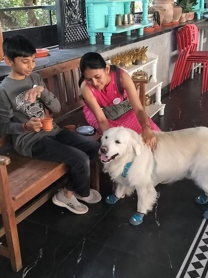 Deepthi - Dog Training & Behavior Modification Community & Group Activities photo 16