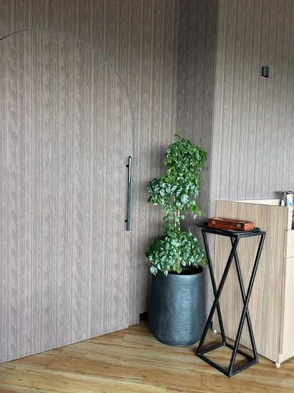 A Ficus tree in a dark pot adds a touch of formal elegance to this restaurant entrance. Its placement next to the modern wooden door creates a welcoming and sophisticated entryway.