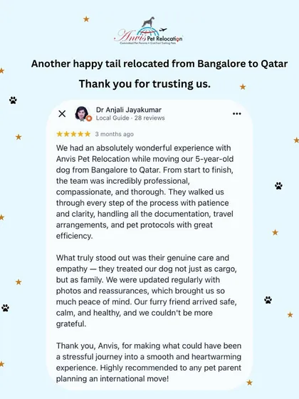 We are so grateful for the trust families place in us. This review from a client whose 5-year-old dog we relocated from Bangalore to Qatar highlights our core belief: pets are family, not cargo. We manage all documentation and travel arrangements with the care and empathy your pet deserves.