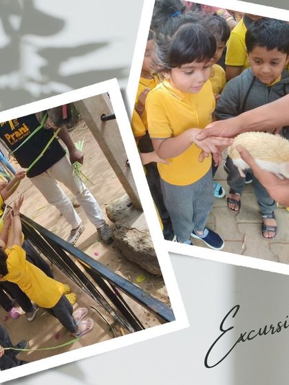 Ace Montessori - Summer Camp Outdoor Adventures & Excursions photo 14