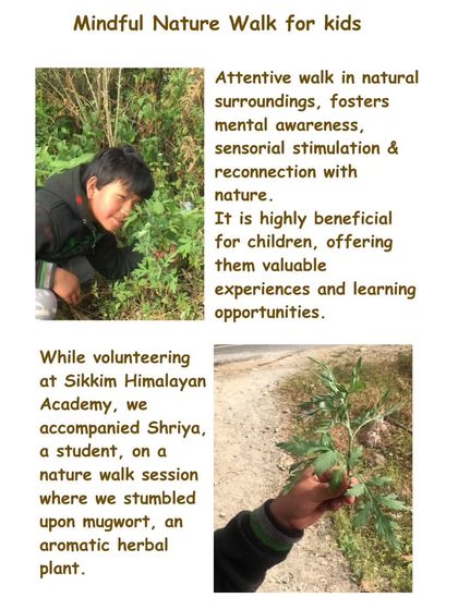 Healing Garden - Private Parties & Group Workshops Mindfulness & Healing Sessions photo 4