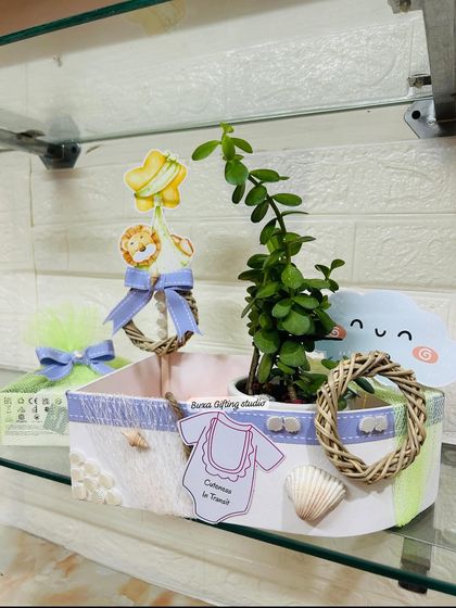 The serene, boat-shaped baby shower hamper, featuring a jade plant and decorated with delicate seashells and lilac accents.